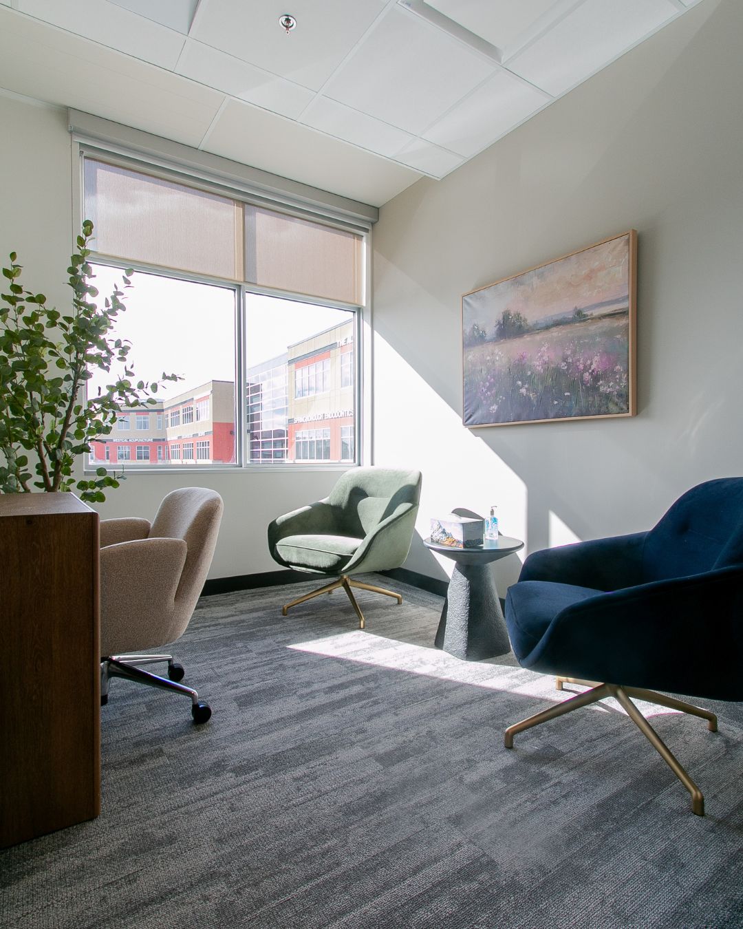 Private therapy office